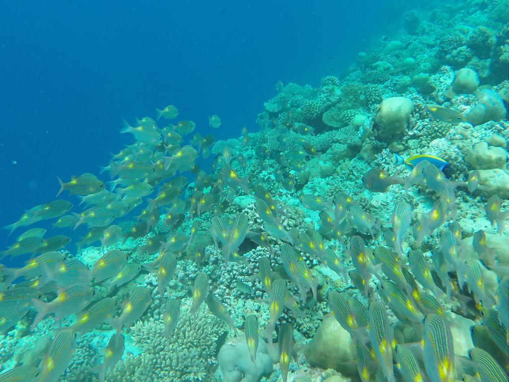Ras Beach Inn Rasdhoo Eksteriør bilde