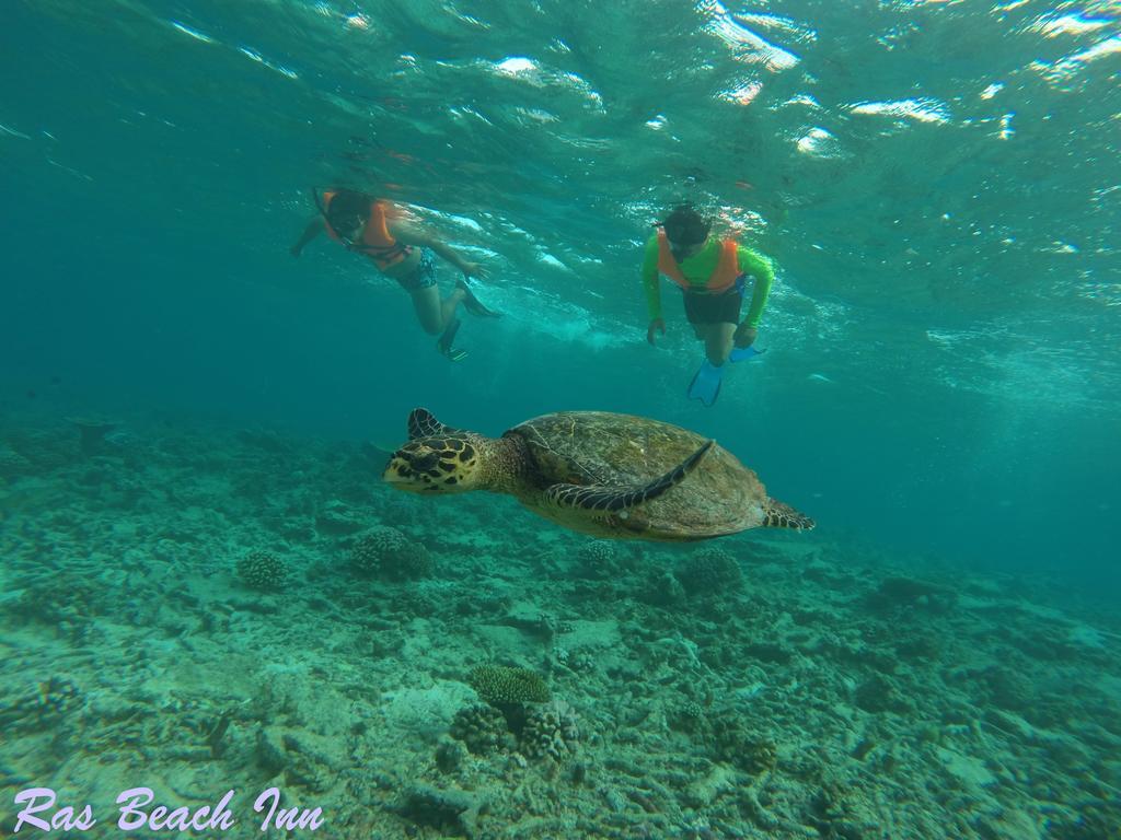 Ras Beach Inn Rasdhoo Eksteriør bilde