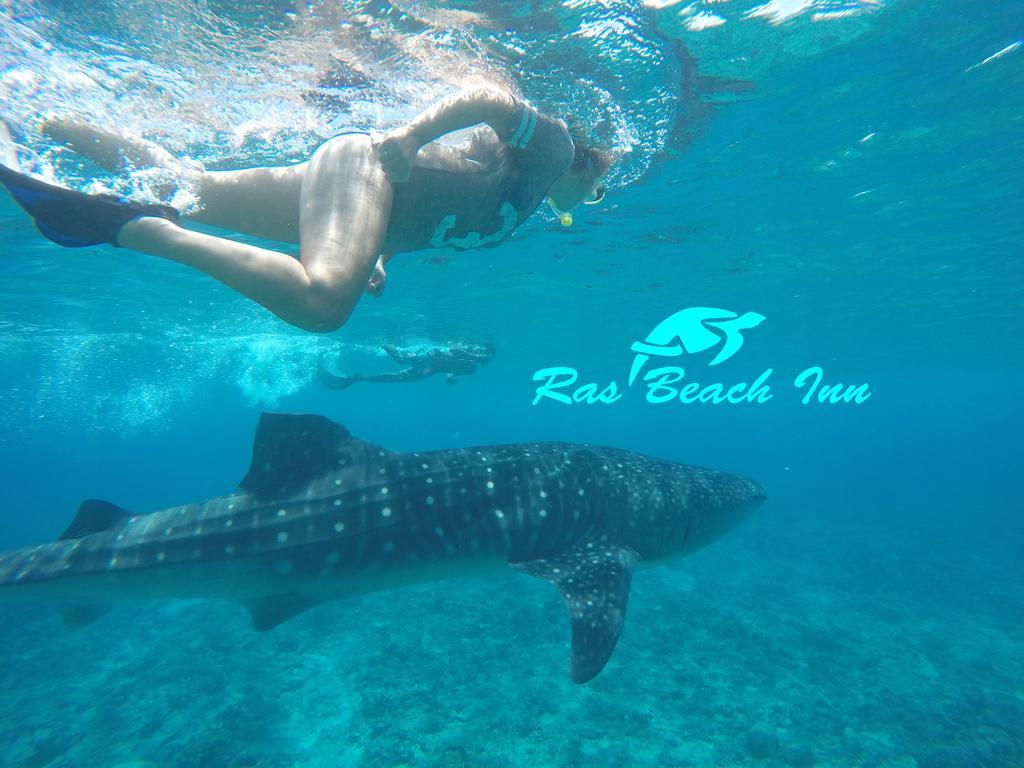 Ras Beach Inn Rasdhoo Eksteriør bilde
